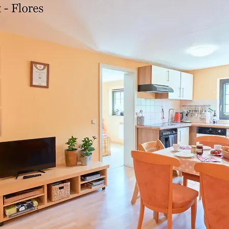 Apartamento Vici -